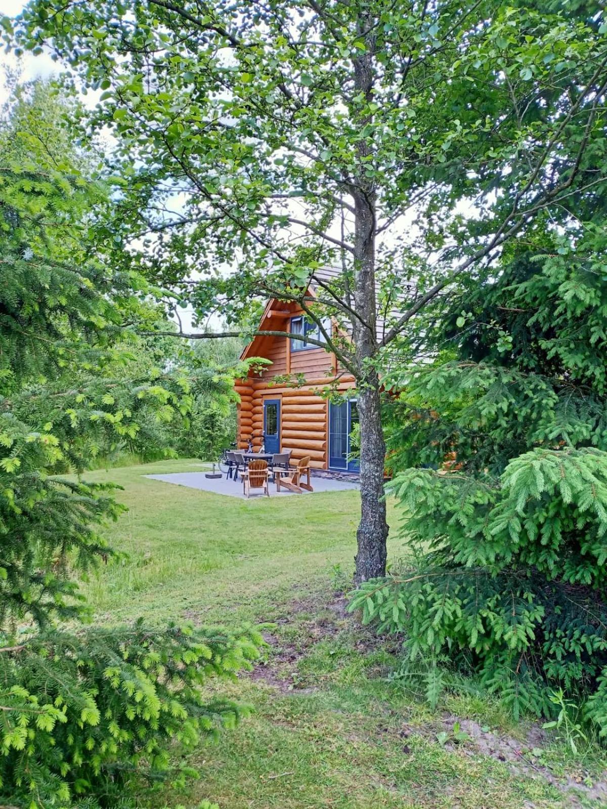 Unieke Houten Villa Met Sauna In Twente - 6P Den Ham Экстерьер фото