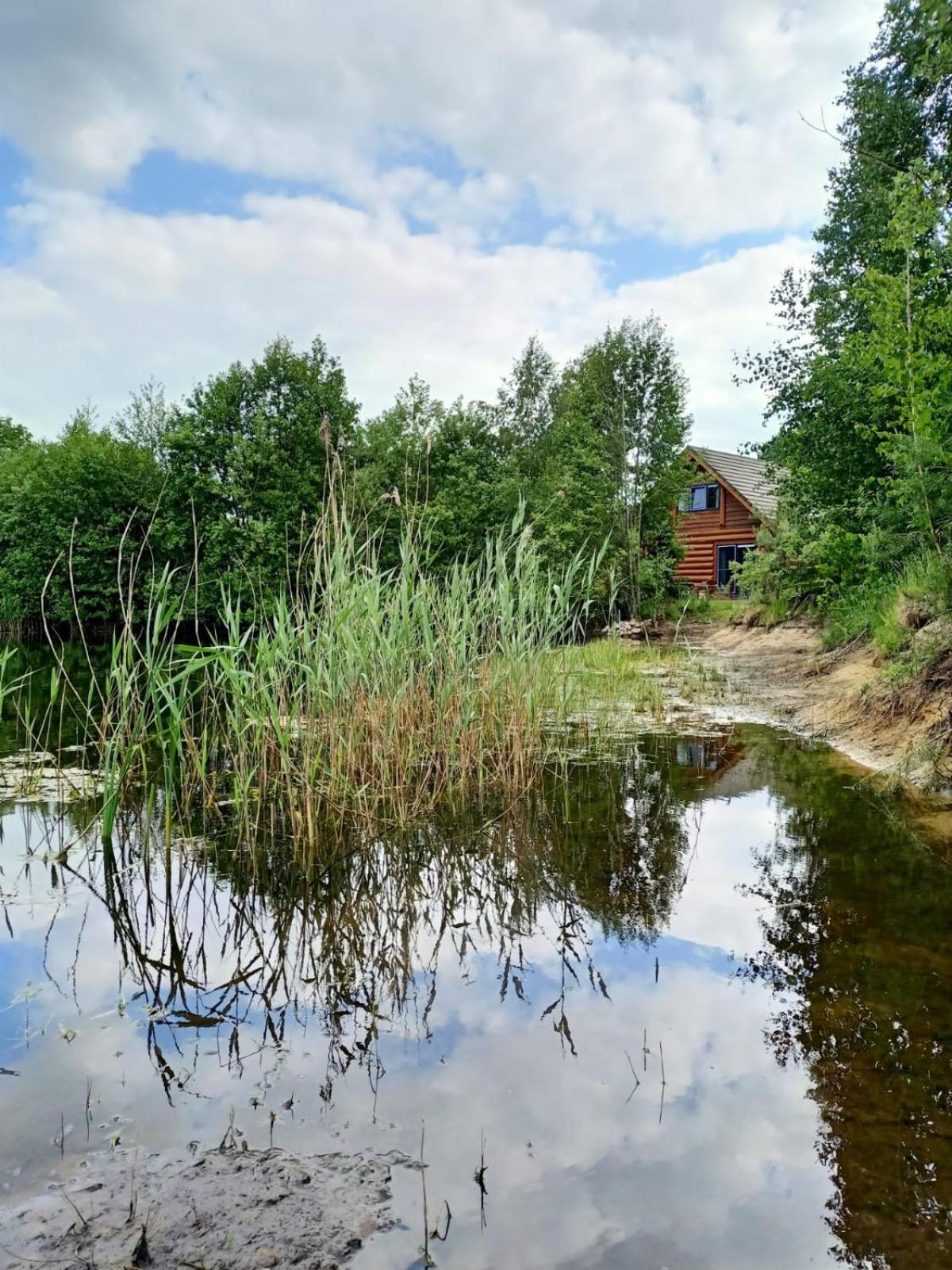 Unieke Houten Villa Met Sauna In Twente - 6P Den Ham Экстерьер фото